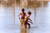 Jeunes pêcheurs à Ceylan