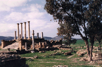 Tunisie-Ruines Romaines