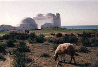 Djerba (Tunisie) : Mosquée en bord de mer