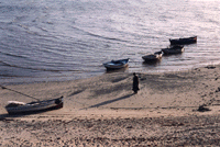 Djerba (Tunisie) : Pécheurs et bateaux
