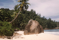 Plage des Seychelles